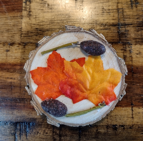 NEW, Handmade Bundle of 5 Fall Themed Magnets - Picture 6 of 7